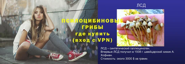 амф Балахна