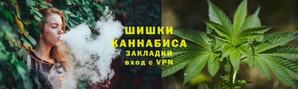 ПСИЛОЦИБИНОВЫЕ ГРИБЫ Балабаново