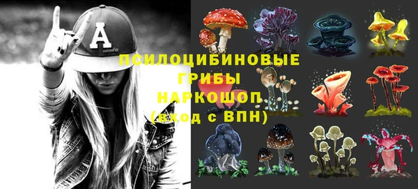 амф Балахна