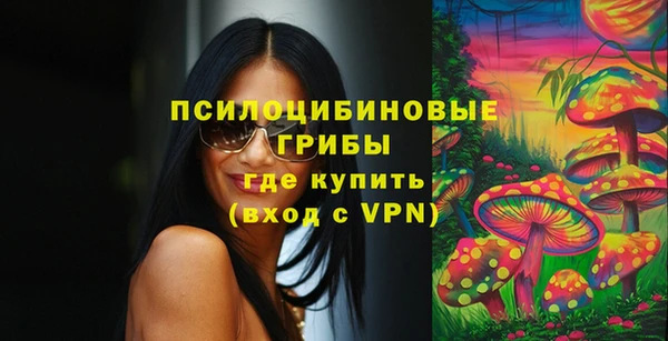 ПСИЛОЦИБИНОВЫЕ ГРИБЫ Балабаново