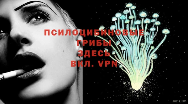 амф Балахна