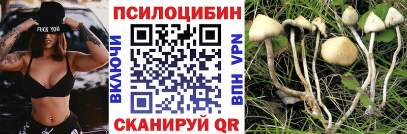 купить закладку  Озёры  Псилоцибиновые грибы ЛСД 